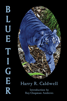 bluetiger