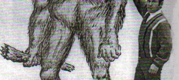 Do Sasquatch Use Clubs?