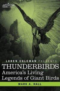 thunderbirds-americas-living-legends-giant-birds-mark-a-hall-hardcover-cover-art