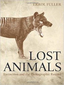 LostAnimals