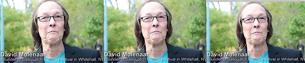 Sasquatch Festival Organizer Arrested On Felony Id Charges