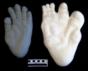 525287_211629008941270_100002825187315_325569_910711199_n1-300x241