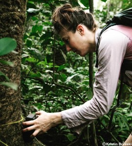 brzeski_field1_credit